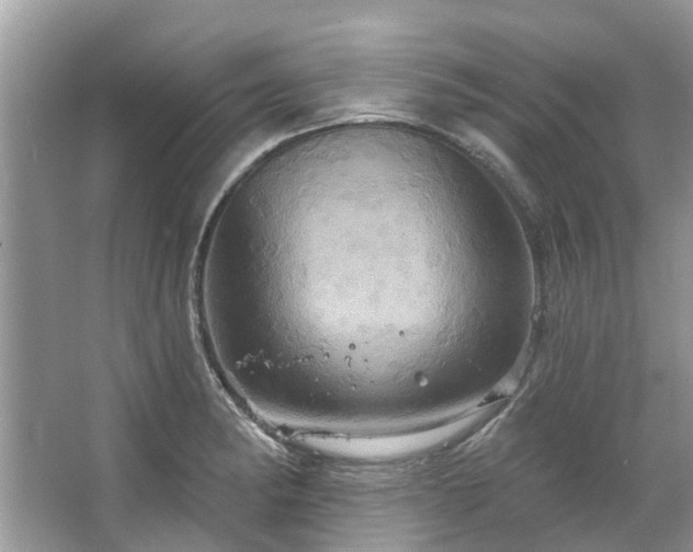 X0000067351182200604071417