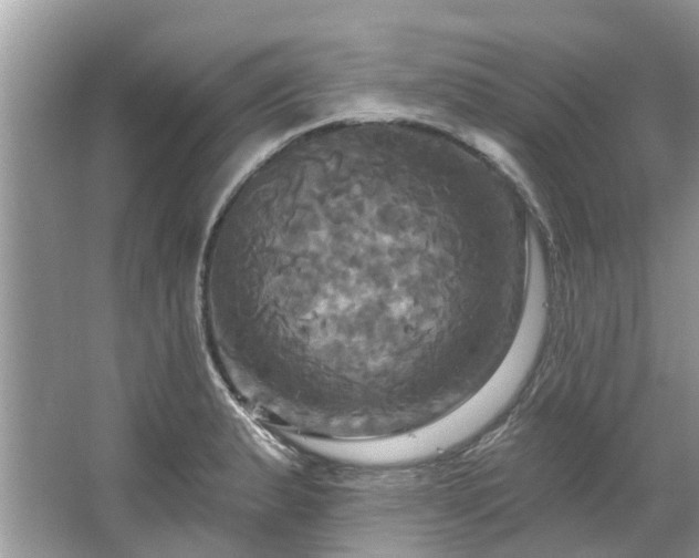 X0000067351183200604071417