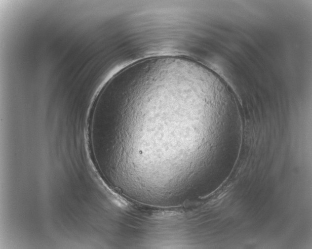 X0000067351187200604071417