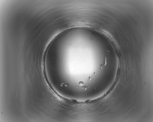 X0000067351188200604071417