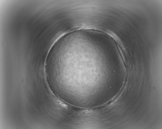 X0000067351190200604071417