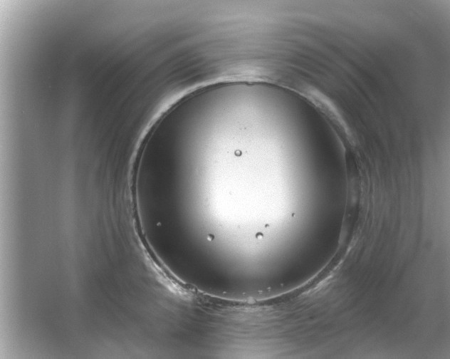 X0000067351192200604071417