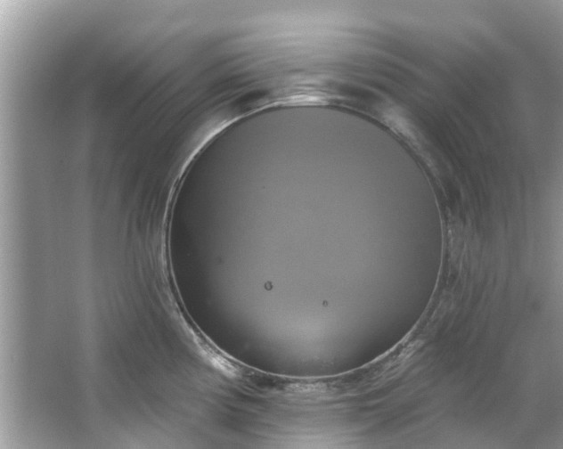 X0000067351194200604071417