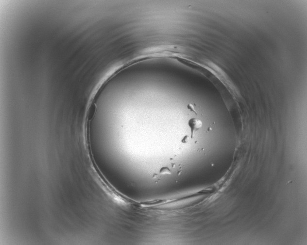 X0000067351196200604071417