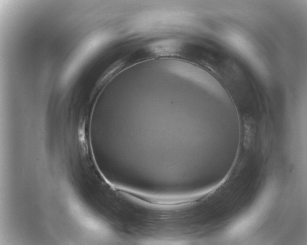 X0000067351198200604071417