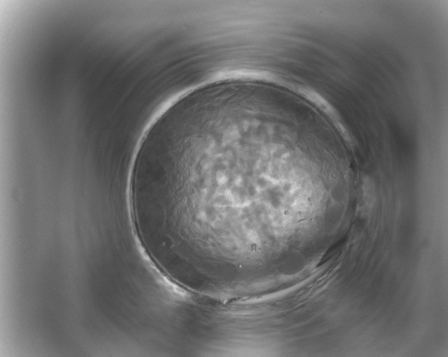 X0000067351199200604071417