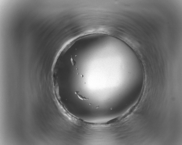 X0000067351200200604071417