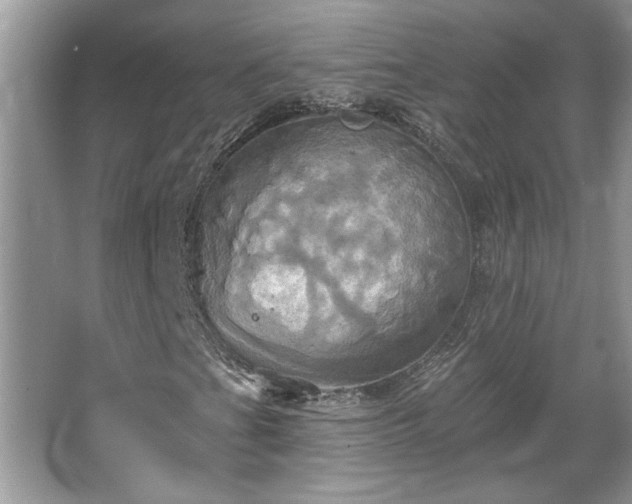 X0000067351201200604071416