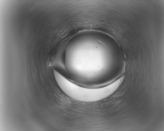 X0000067351202200604071416