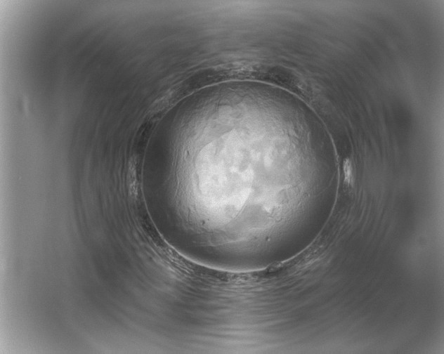 X0000067351203200604071416