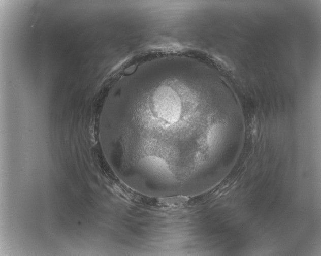 X0000067351205200604071416