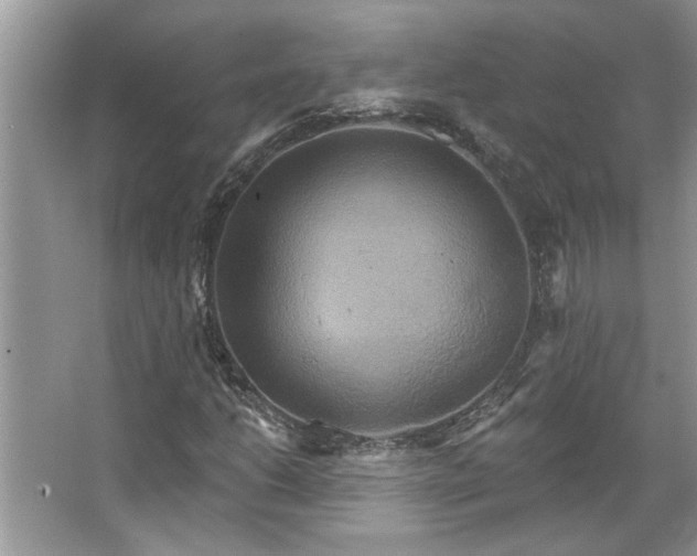 X0000067351206200604071416