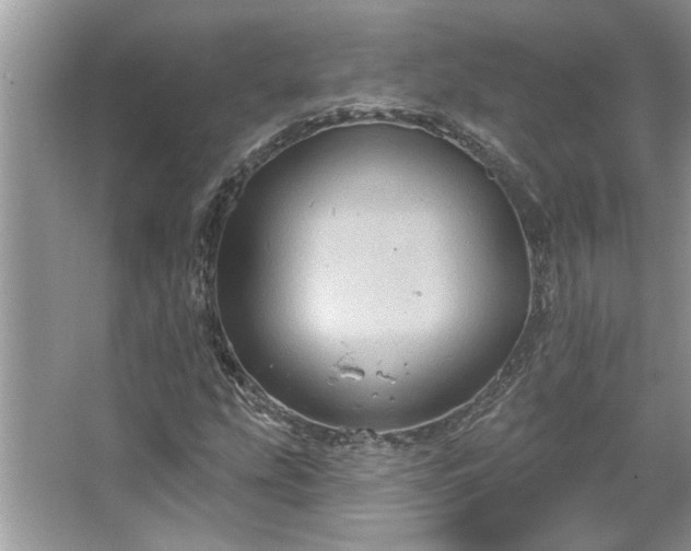 X0000067351207200604071416