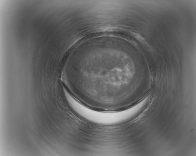 X0000067351209200604071416