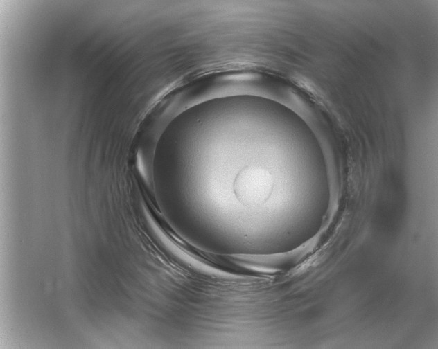 X0000067351210200604071416