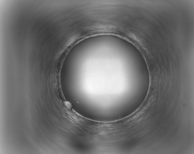 X0000067351211200604071417