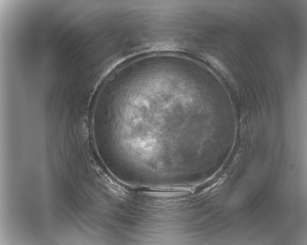 X0000067351212200604071417