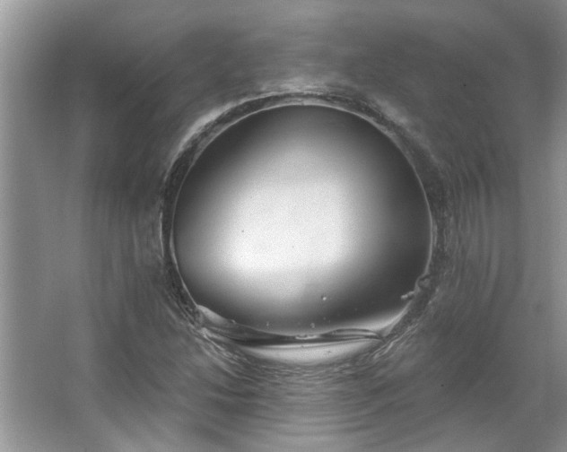 X0000067351214200604071417