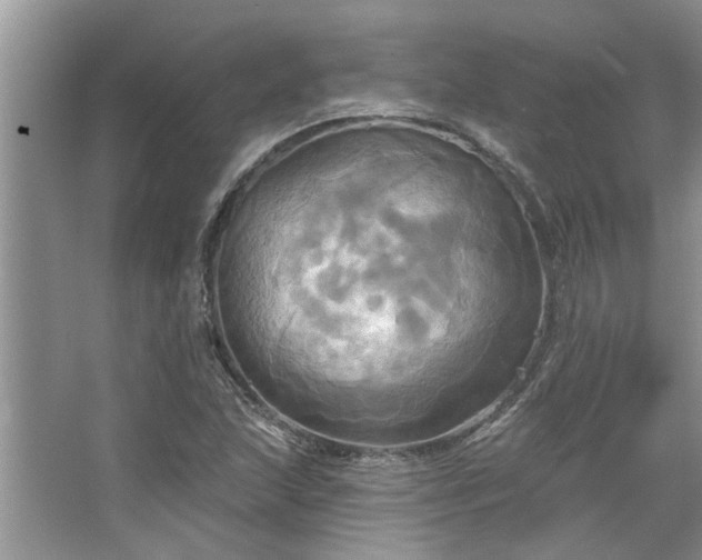 X0000067351215200604071417