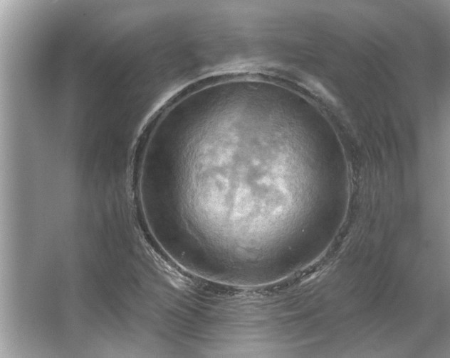 X0000067351216200604071417