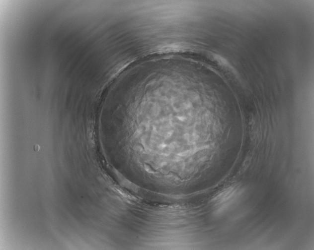 X0000067351217200604071417