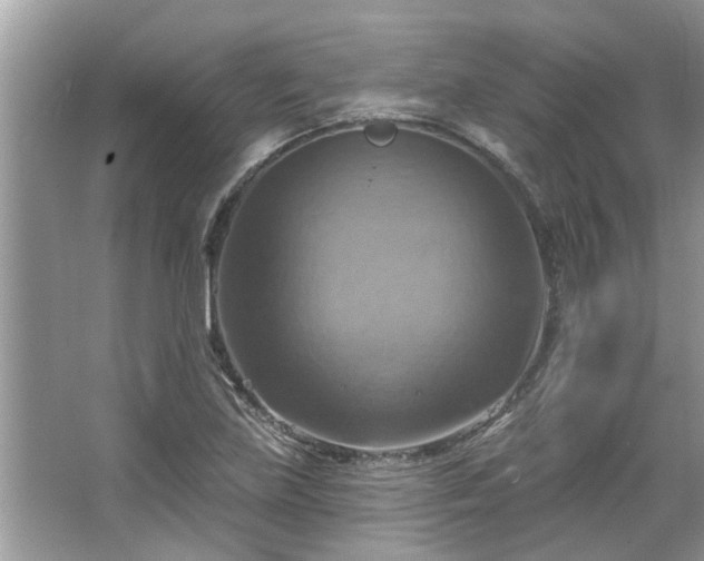 X0000067351219200604071417