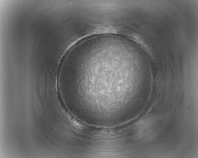 X0000067351220200604071417