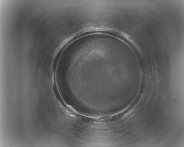 X0000067351221200604071417