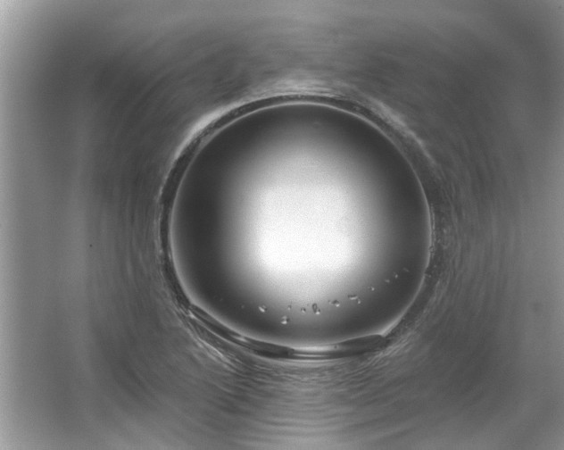 X0000067351222200604071417