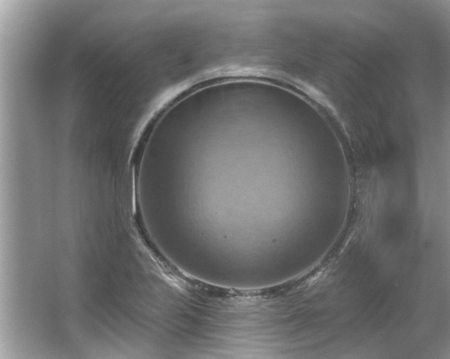 X0000067351223200604071417