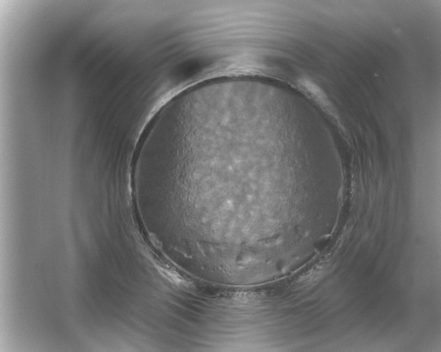 X0000067351226200604071417