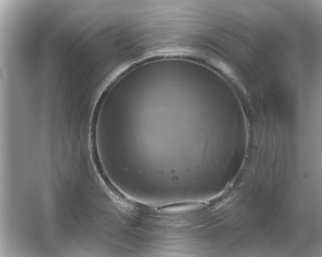 X0000067351229200604071417