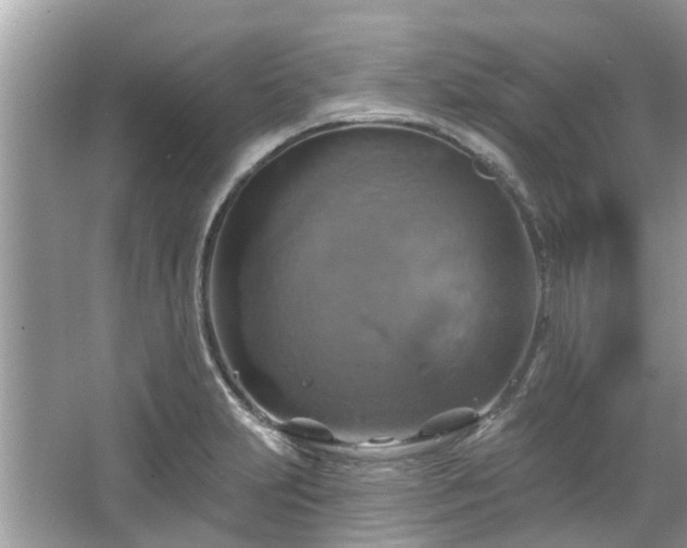 X0000067351231200604071417