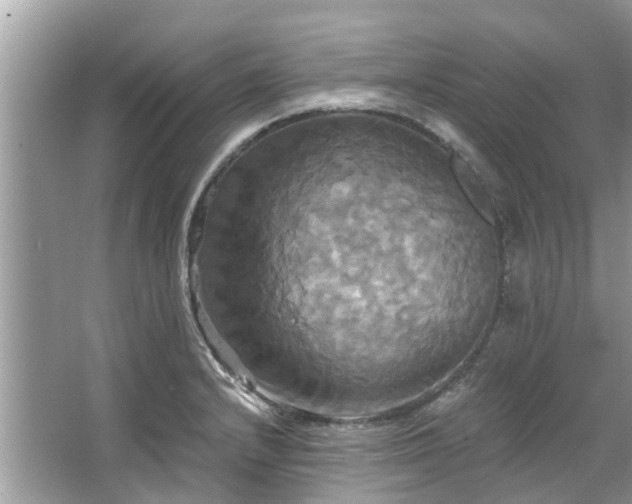 X0000067351232200604071417