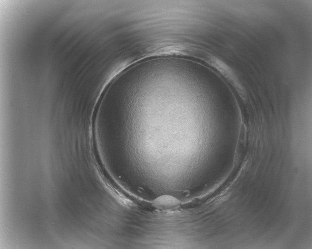 X0000067351234200604071417