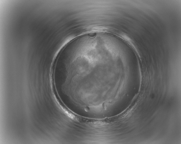 X0000067351235200604071417