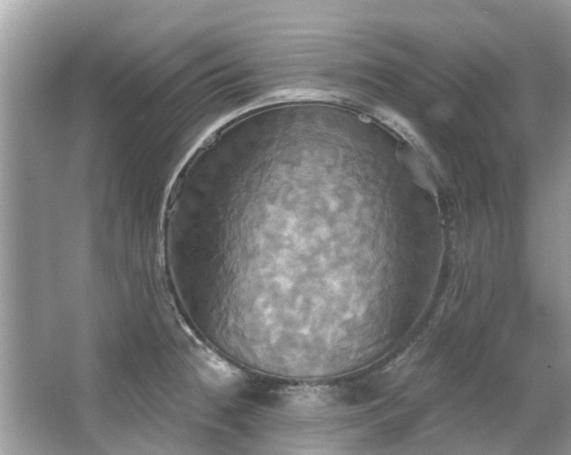 X0000067351236200604071417