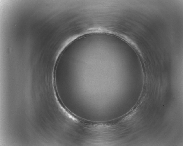 X0000067351239200604071417