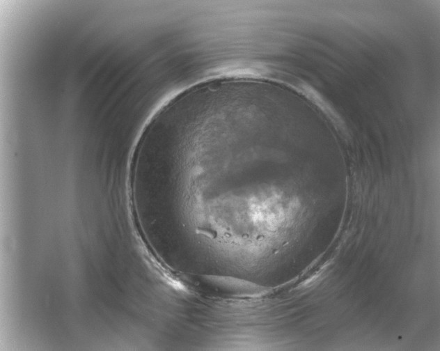 X0000067351240200604071417