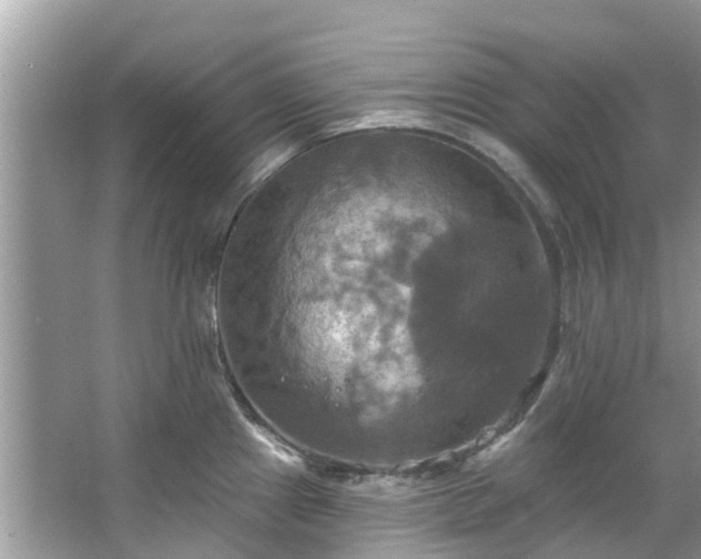 X0000067351241200604071417