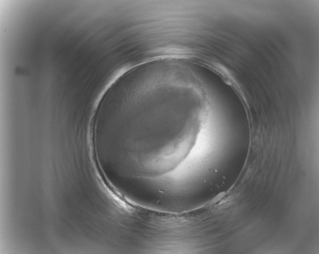 X0000067351243200604071417