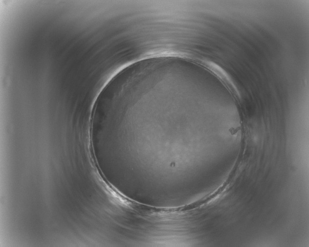 X0000067351244200604071417