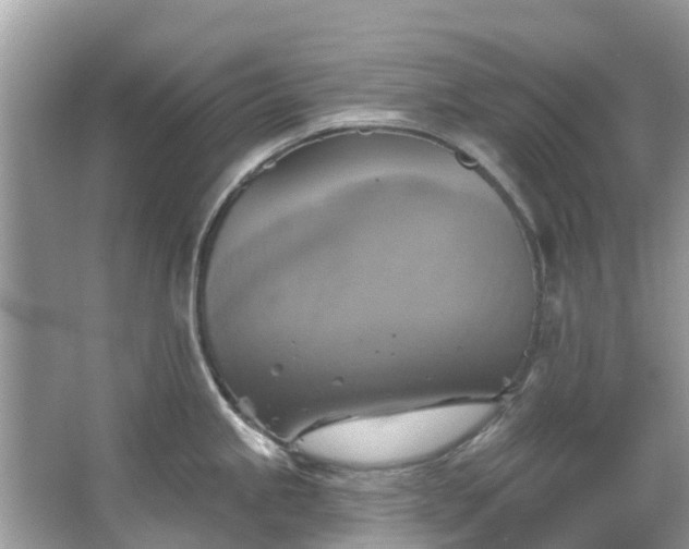 X0000067351245200604071417