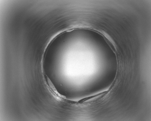 X0000067351246200604071417