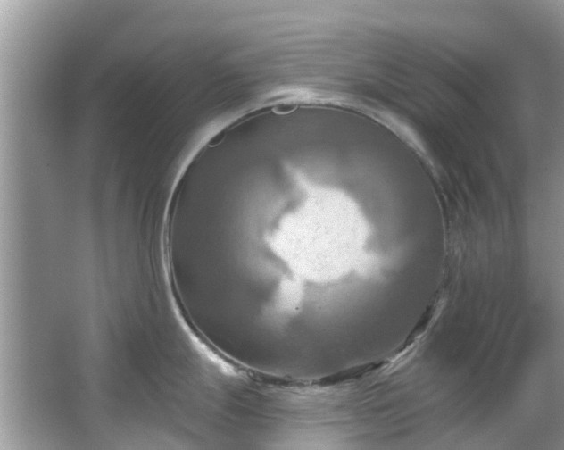 X0000067351247200604071417