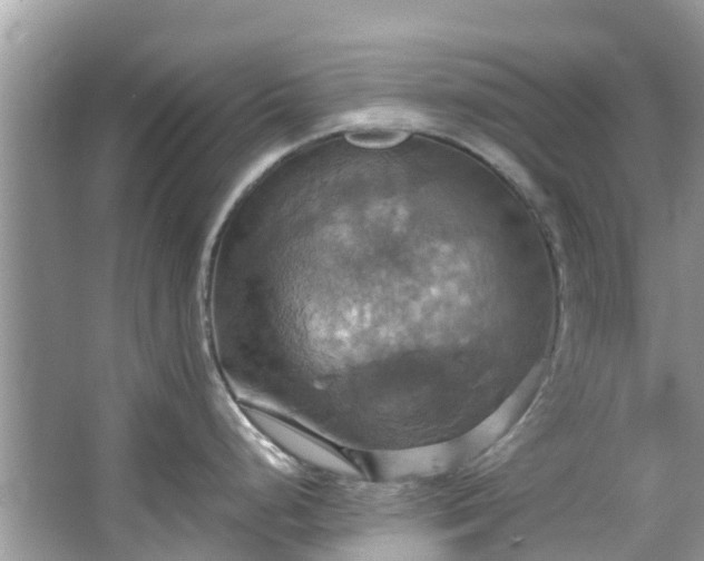 X0000067351248200604071417