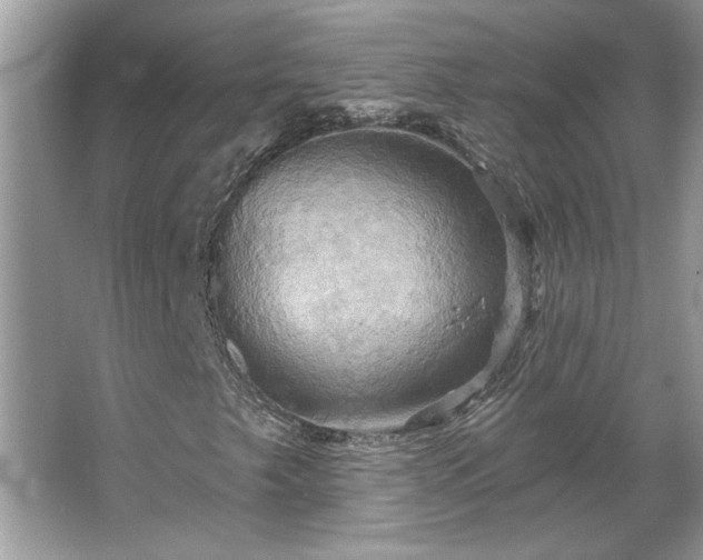 X0000067351249200604071416