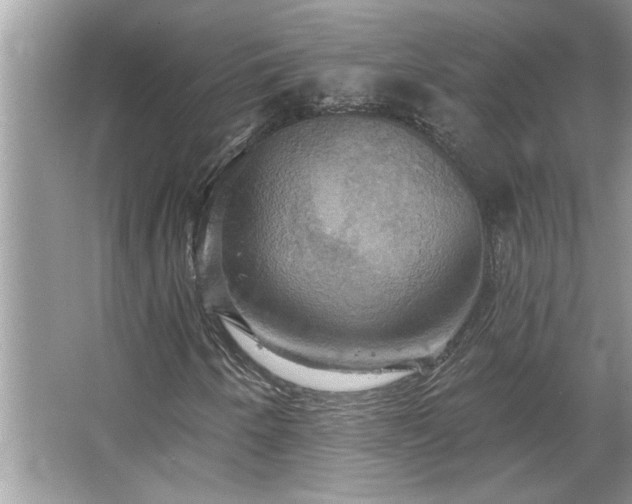 X0000067351250200604071416