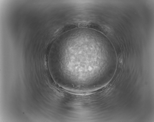 X0000067351252200604071416