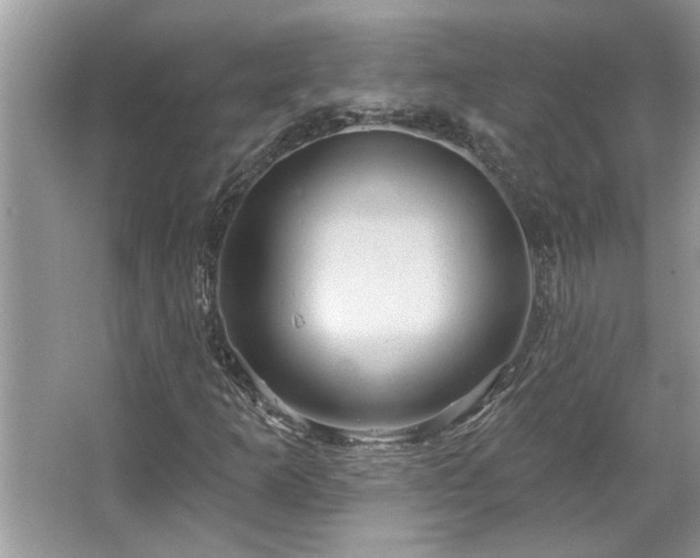 X0000067351253200604071416